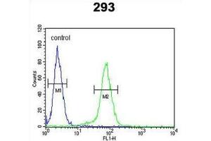 Flow Cytometry (FACS) image for anti-Claudin 8 (CLDN8) antibody (ABIN3004091)