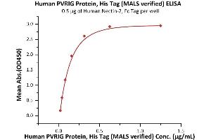 Immobilized Human Nectin-2, Fc Tag (ABIN4949134,ABIN4949135) at 5 μg/mL (100 μL/well) can bind Human PVRIG Protein, His Tag (ABIN6973207) with a linear range of 0.