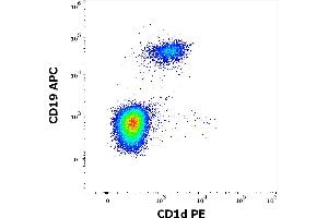 Flow cytometry multicolor surface staining of human gated lymphocytes stained using anti-human CD1d (51. (CD1d Antikörper  (PE))