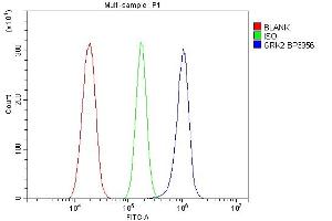 Flow Cytometry analysis of RH35 cells using anti-GRK2 antibody (ABIN7602826).