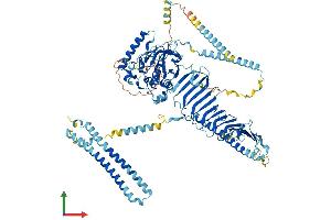 Protein Structure (PS) image for Coiled-Coil Domain Containing 135 (CCDC135) (AA 1-876) protein (His tag) (ABIN7558115)