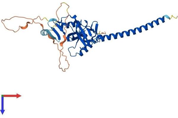 RASSF2 Protein (AA 1-326) (His tag)
