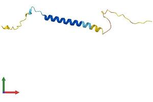 AlphaFold protein structure predicition of Human Recombinant FXYD7 Protein, UniprotID P58549