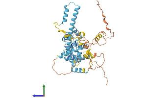 AlphaFold protein structure predicition of Mouse Recombinant Efcab3 Protein, UniprotID Q80X60 (EFCAB3 Protein (AA 1-432) (His tag))