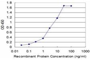 Detection limit for recombinant GST tagged USP9X is approximately 0. (USP9X Antikörper  (AA 1-90))