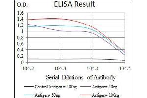 Black line: Control Antigen (100 ng), Purple line: Antigen(10 ng), Blue line: Antigen (50 ng), Red line: Antigen (100 ng), (Somatostatin Antikörper  (AA 1-116))