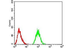 Flow Cytometry (FACS) image for anti-THAP Domain Containing, Apoptosis Associated Protein 1 (THAP1) (AA 1-213) antibody (ABIN5878660) (THAP1 Antikörper  (AA 1-213))