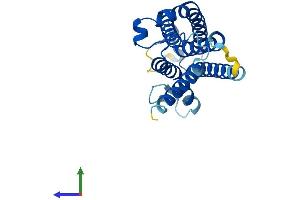 AlphaFold protein structure predicition of Human Recombinant DOLPP1 Protein, UniprotID Q86YN1