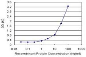 Sandwich ELISA detection sensitivity ranging from 1 ng/mL to 100 ng/mL. (MAGED1 (Human) Matched Antibody Pair)