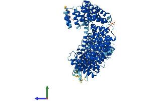AlphaFold protein structure predicition of Human Recombinant NAA25 Protein, UniprotID Q14CX7