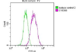 Flow Cytometry (FACS) image for anti-Aldo-Keto Reductase Family 1, Member C3 (3-alpha Hydroxysteroid Dehydrogenase, Type II) (AKR1C3) antibody (ABIN7127330)