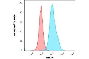 Flow Cytometric Analysis of Ramos cells using CD10 Mouse Monoclonal Antibody (FR4D11) followed by goat anti-Mouse IgG-CF488 (Blue); Isotype control (Red). (MME Antikörper)