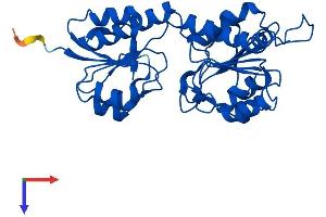 GRHPR Protein (AA 1-328) (His tag)