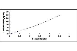 Typical standard curve (Coagulation Factor X ELISA Kit)