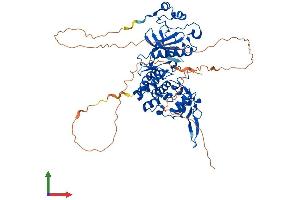 Protein Structure (PS) image for Dual-Specificity tyrosine-(Y)-phosphorylation Regulated Kinase 3 (DYRK3) (AA 1-586) protein (His tag) (ABIN7560243)