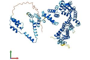 Protein Structure (PS) image for TH1-Like (TH1L) (AA 1-591) protein (His tag) (ABIN7560229)