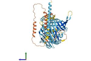 AlphaFold protein structure predicition of Mouse Recombinant Ankrd13a Protein, UniprotID Q80UP5