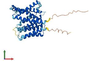 AlphaFold protein structure predicition of Human Recombinant SLC35D2 Protein, UniprotID Q76EJ3