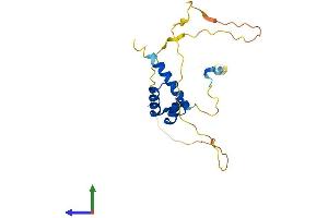 Protein Structure (PS) image for Homeobox C5 (HOXC5) (AA 1-222) protein (His tag) (ABIN7563126)