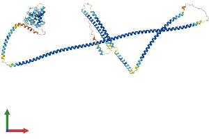Protein Structure (PS) image for Hook Homolog 2 (HOOK2) (AA 1-716) protein (His tag) (ABIN7564190)