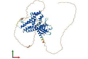 AlphaFold protein structure predicition of Human Recombinant ARHGEF3 Protein, UniprotID Q9NR81 (ARHGEF3 Protein (AA 1-526) (His tag))