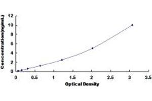 Typical standard curve (BCAR1 ELISA Kit)