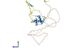 Protein Structure (PS) image for Engrailed Homeobox 1 (EN1) (AA 1-401) protein (His tag) (ABIN7562770)