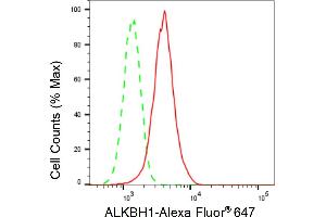 Flow cytometric analysis of ALKBH1 expression in HepG2 cells using ALKBH1 antibody (ABIN7797578), 1:2,000). (Rekombinanter ALKBH1 Antikörper)