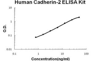 Human Cadherin-2/N-Cadherin PicoKine ELISA Kit standard curve