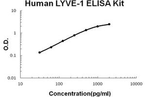 Human LYVE-1 Accusignal ELISA Kit Human LYVE-1 AccuSignal ELISA Kit standard curve. (LYVE1 ELISA Kit)