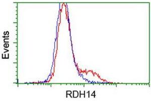 HEK293T cells transfected with either RC203411 overexpress plasmid (Red) or empty vector control plasmid (Blue) were immunostained by anti-RDH14 antibody (ABIN2454146), and then analyzed by flow cytometry. (RDH14 Antikörper)