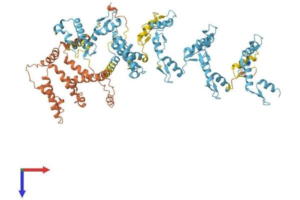 ZNF560 Protein (AA 1-790) (His tag)