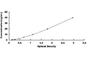 Complement Component C4d (C4d) ELISA Kit