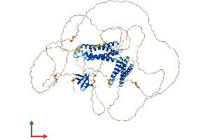 CASS4 Protein (AA 1-786) (His tag)