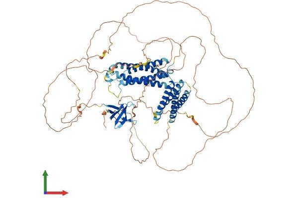 CASS4 Protein (AA 1-786) (His tag)