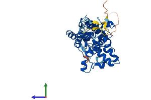 Protein Structure (PS) image for Fatty Acid 2-Hydroxylase (FA2H) (AA 1-372) protein (His tag) (ABIN7557475)