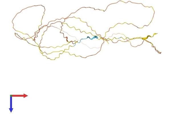 HMGN5 Protein (AA 1-406) (His tag)