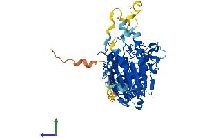 Protein Structure (PS) image for Polymerase (DNA Directed), delta 2, Accessory Subunit (POLD2) (AA 1-469) protein (His tag) (ABIN7547231)