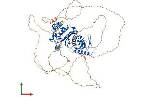 AlphaFold protein structure predicition of Human Recombinant FAM169A Protein, UniprotID Q9Y6X4
