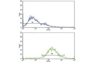 Flow Cytometry (FACS) image for anti-Insulin-Like Growth Factor Binding Protein 2, 36kDa (IGFBP2) (AA 277-305) antibody (ABIN3031351)