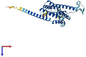 FITM1 Protein (AA 1-292) (His tag)