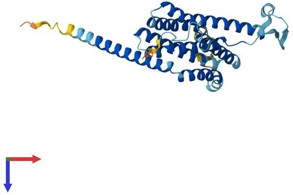 FITM1 Protein (AA 1-292) (His tag)