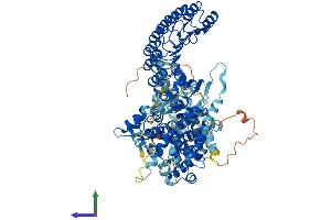 AlphaFold protein structure predicition of Mouse Recombinant Nod2 Protein, UniprotID Q8K3Z0