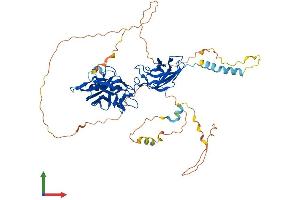 Protein Structure (PS) image for Nuclear Factor-kB p65 (NFkBP65) (AA 1-549) protein (His tag) (ABIN7563593)