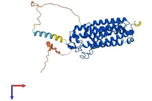 Adiponectin Receptor 2 Protein (ADIPOR2) (AA 1-386) (His tag)