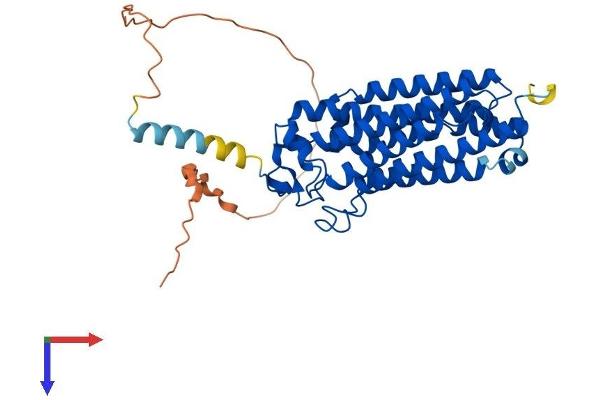 Adiponectin Receptor 2 Protein (ADIPOR2) (AA 1-386) (His tag)