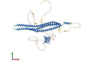 Protein Structure (PS) image for BAI1-Associated Protein 2 (BAIAP2) (AA 1-552) protein (His tag) (ABIN7552632)