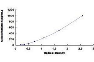 ELISA image for Netrin 1 (NTN1) ELISA Kit (ABIN416234)