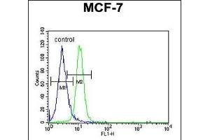 PSG7 Antibody (C-term) (ABIN651132 and ABIN2840089) flow cytometric analysis of MCF-7 cells (right histogram) compared to a negative control cell (left histogram). (PSG7 Antikörper  (C-Term))