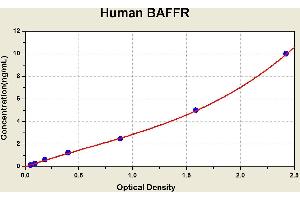 Diagramm of the ELISA kit to detect Human BAFFRwith the optical density on the x-axis and the concentration on the y-axis.